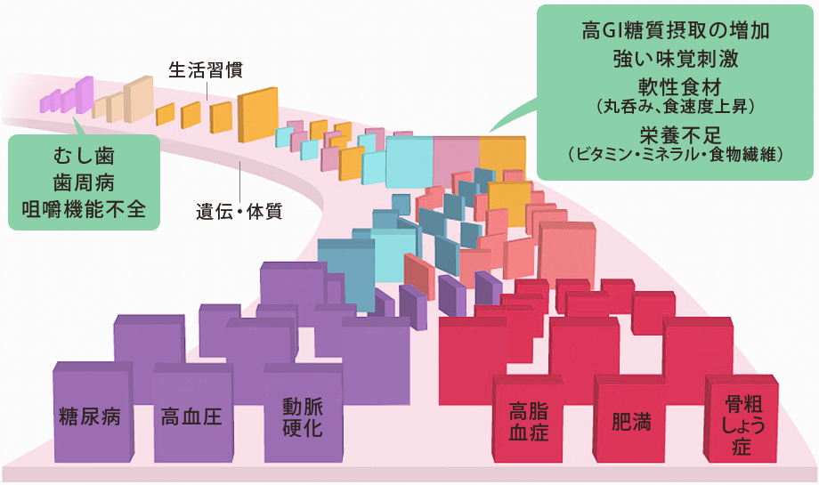口内環境の悪化と様々な疾患との関連
