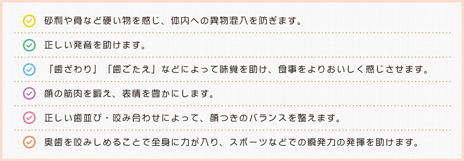 歯が持つその他の役割